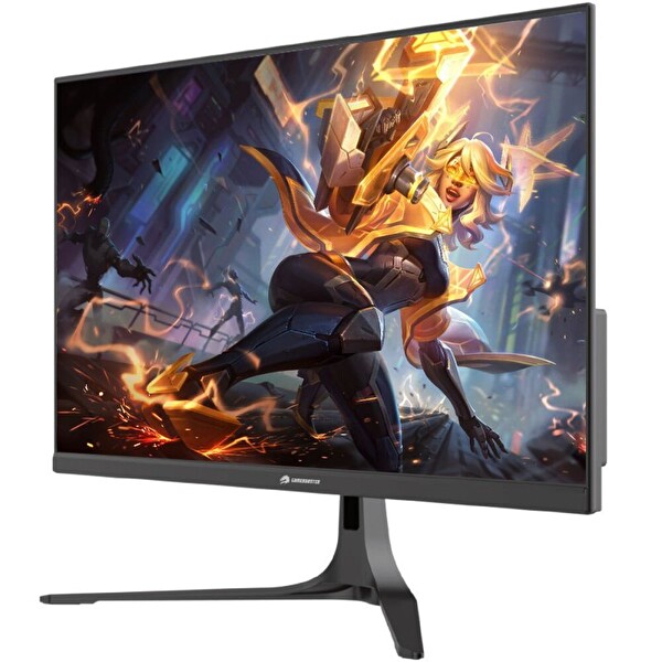 GameBooster GB-2516FF TN 24.5