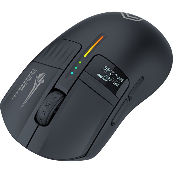 GameBooster Sway Rgb 24000DPI OLED Triple Mode Oyuncu Mouse Siyah