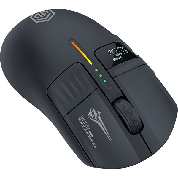 GameBooster Sway Rgb 24000DPI OLED Triple Mode Oyuncu Mouse Siyah