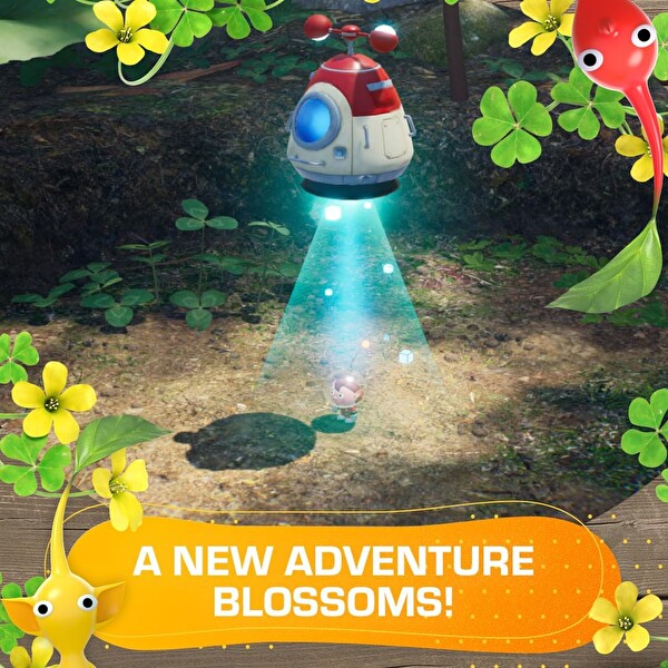 Nintendo Pikmin 4 Deluxe Nintendo Switch Oyun