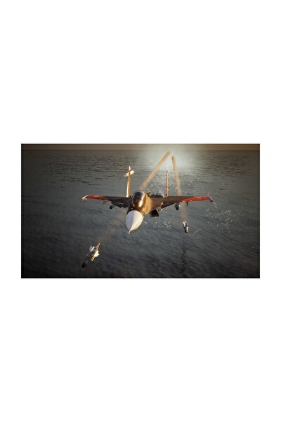 Bandai Namco Ace Combat 7 Skies Unknow PS4 Oyunu