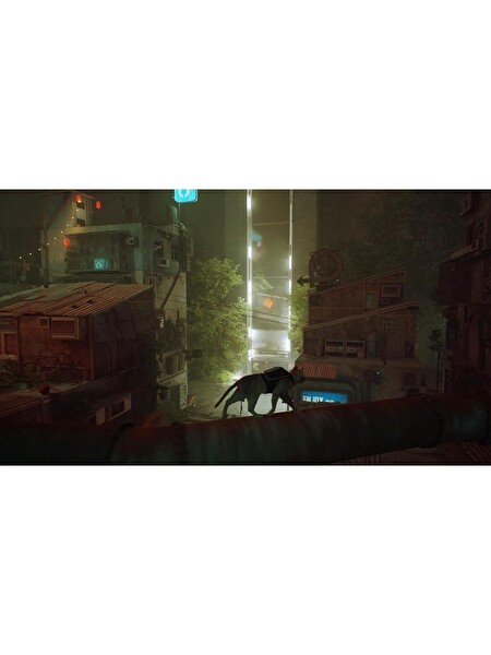 Stray Nintendo Switch Oyun