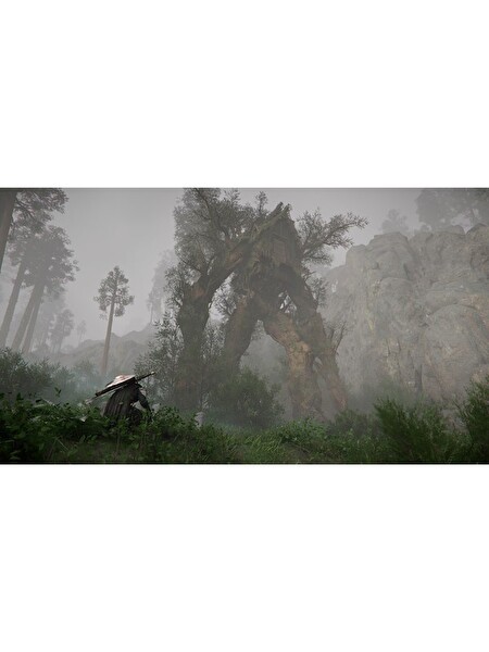 Sony Ps5 Crimson Desert Day One Edition Türkçe Altyazılı Oyun
