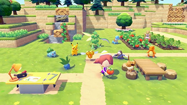 Pokémon PokéPia Nintendo Switch 2 Oyun