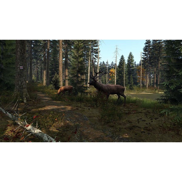 Bohemia Dayz PS4 Oyun