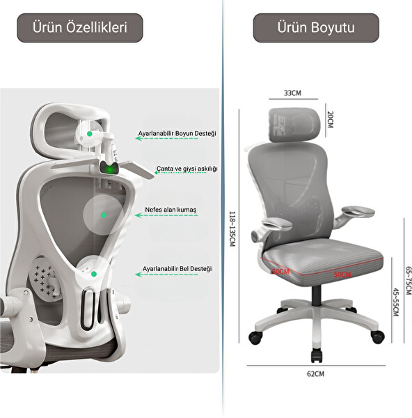 Karr Office Oslo Ergonomik Çalışma Sandalyesi Gri