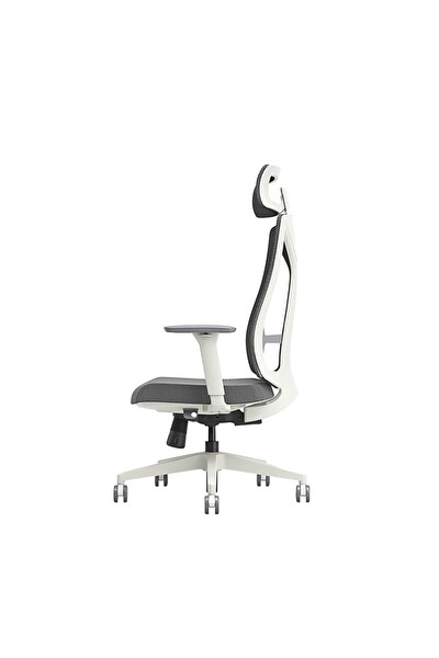 Adore Mobilya Leader File Sırtlı Multi Mekanizma Ofis Koltuğu Bej-Gri 67x118-5-128,5x 70 CM (GxYxD)