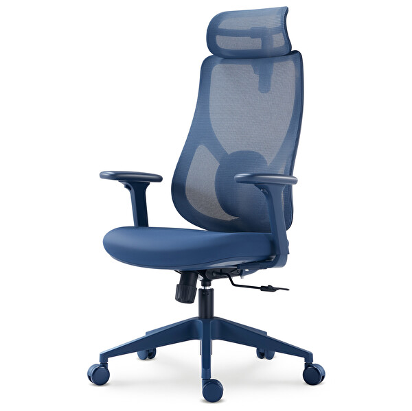 Karr Office Rio Ergonomik Çalışma Sandalyesi - Mavi
