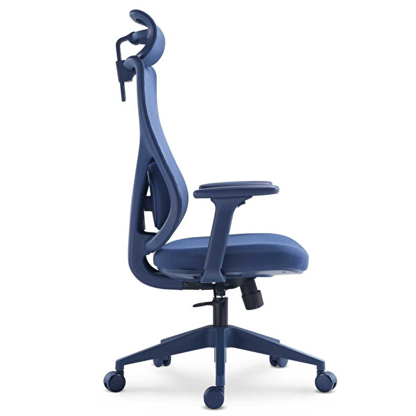 Karr Office Rio Ergonomik Çalışma Sandalyesi - Mavi