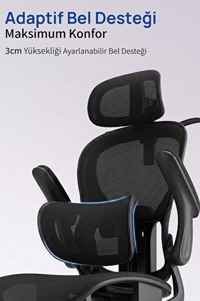 Karr Office Porto Ergonomik Çalışma Sandalyesi Siyah