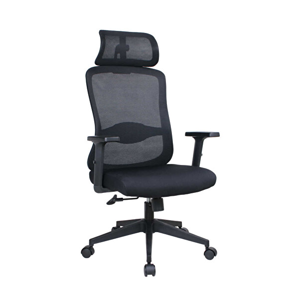 Adore Mobilya Tempo Ergonomik 64x116-126x66 CM Yönetici ve Çalışma Koltuğu File-Siyah