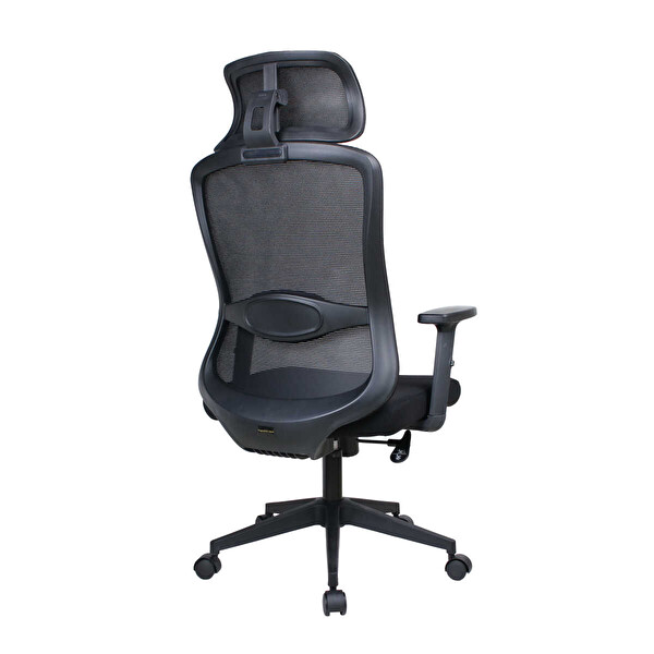Adore Mobilya Tempo Ergonomik 64x116-126x66 CM Yönetici ve Çalışma Koltuğu File-Siyah
