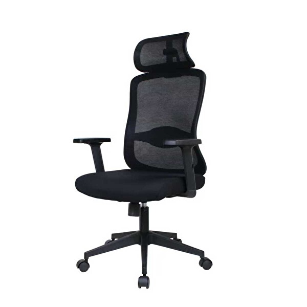 Adore Mobilya Tempo Ergonomik 64x116-126x66 CM Yönetici ve Çalışma Koltuğu File-Siyah