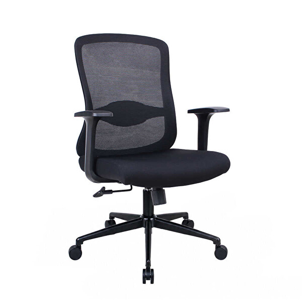 Adore Mobilya Ready-X Ergonomk Çalışma Koltuğu - File Siyah 68x99-109x66 CM