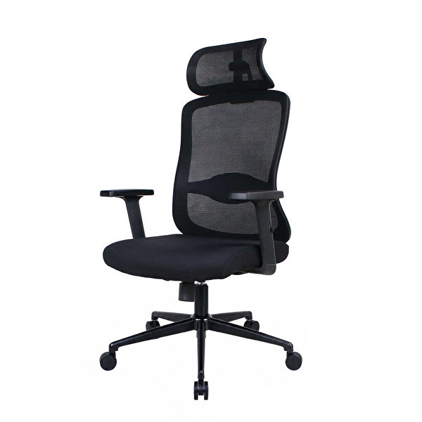 Adore Mobilya Tempo-X Ergonomik Yönetici ve Çalışma Koltuğu File Siyah 68x116-126x66 CM