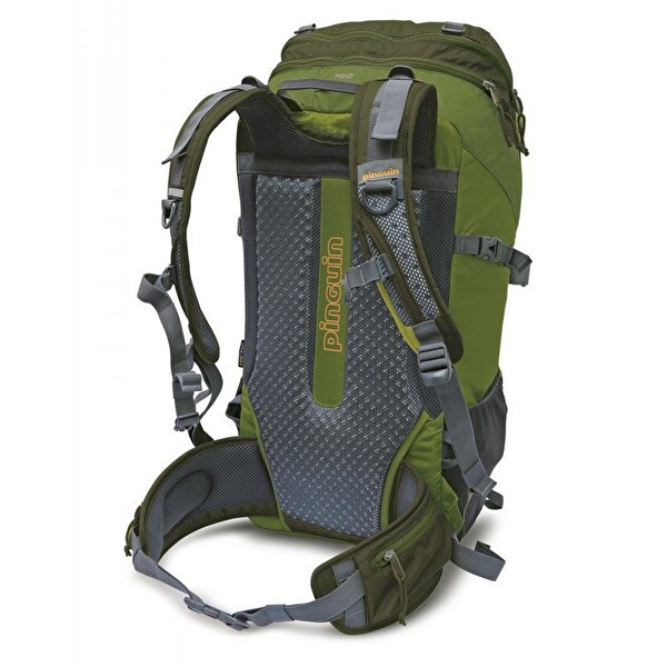 Pinguin Rucksacks 42 L Yeşil Sırt Çantası
