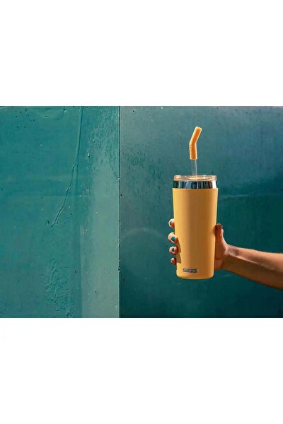 Sigg 6015.50 Helia 0.6 L Somon Çelik Termos