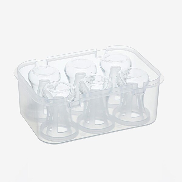 Campout 6'lı Çay Bardağı Taşıma Kutusu