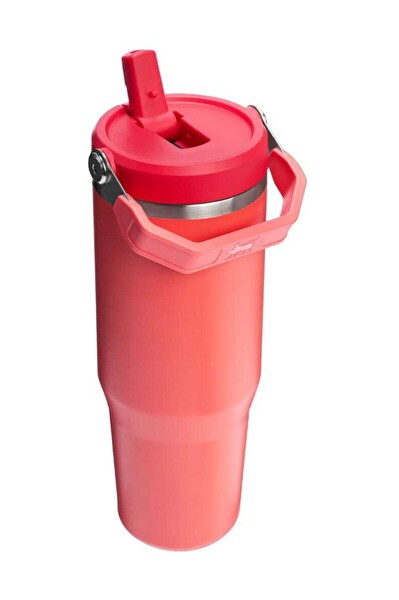 Stanley 10-12043-076 The IceFlow Flip Straw 2.0 Tumbler 0.89 L Termos