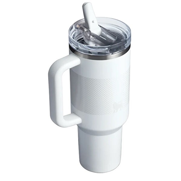 Stanley The Quencher ProTour Flip Straw Tumbler 1.18 LT Frost Fade