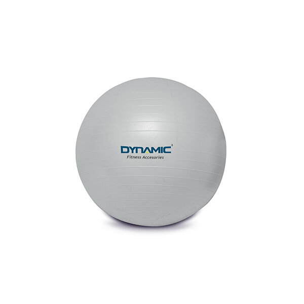 Dynamic Dynamic 1DYAKGYMBALL/65C-013 65 CM Gri Pilates Topu