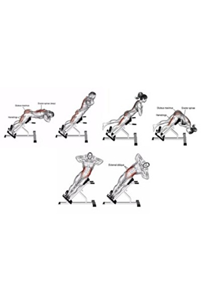 Proforce EMH12- 45 Derece Kolay Montaj Ayarlanabilir Yükseklik Ters Mekik Sehpası