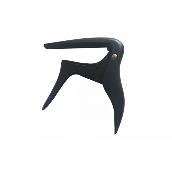 Ibanez ICC10 Klasik Gitar Kaposu