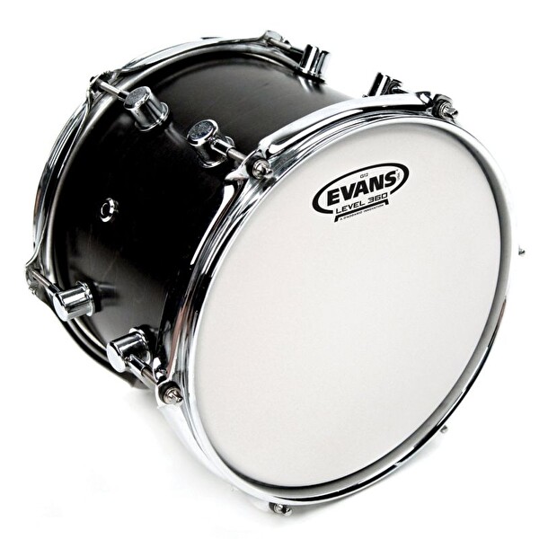 Evans B16G12 Tom Derisi