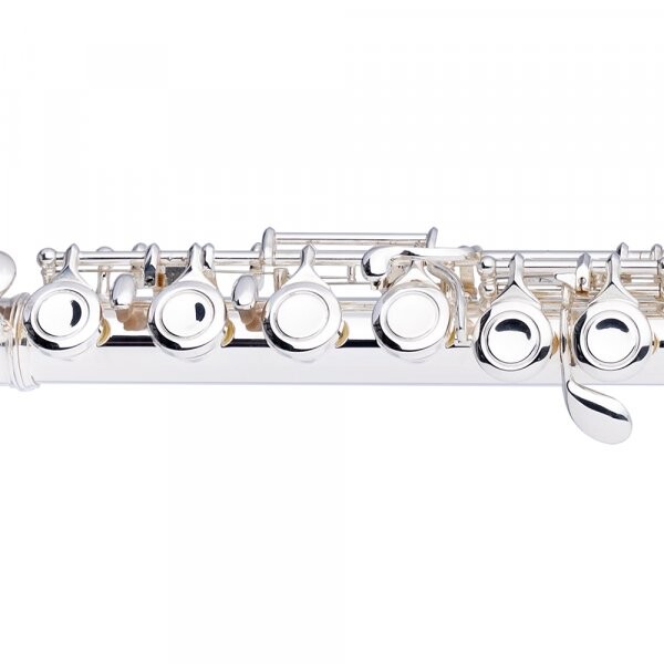 Stagg FL211S Yan Flüt