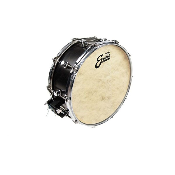 Evans TT12C7 Davul Derisi