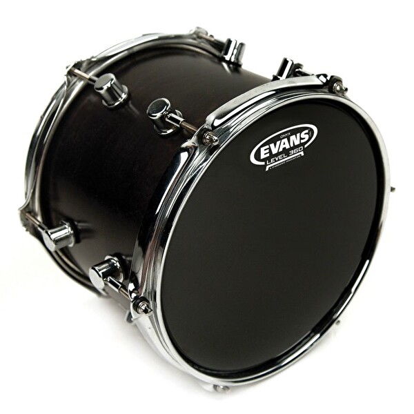 Evans B12ONX2 12