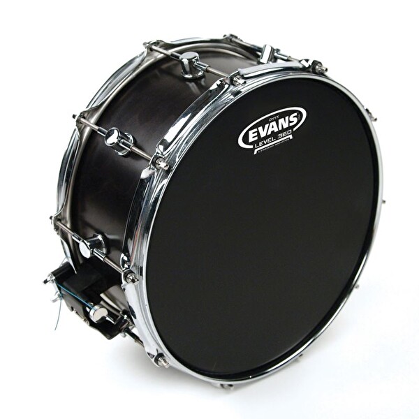 Evans B13ONX2 13