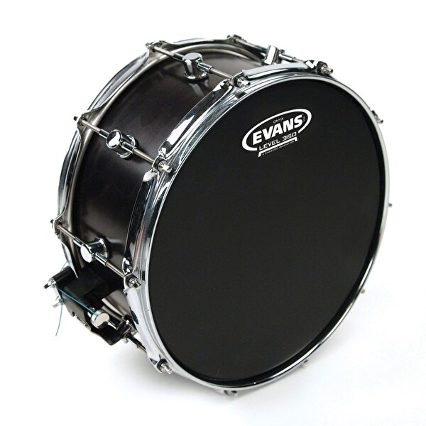 Evans B13ONX2 13