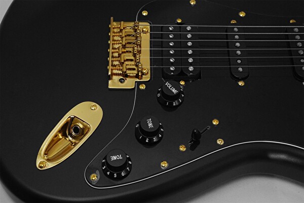 Smiger L-G2 Pro RW BG HSS Elektro Gitar
