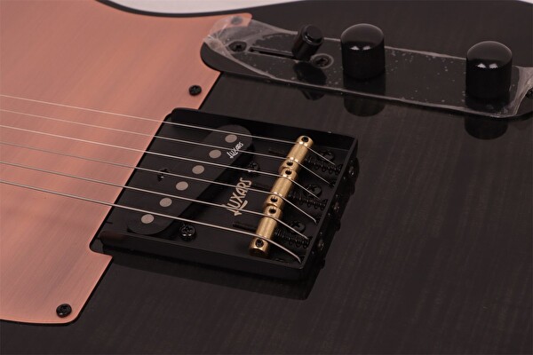 Luxars S-G27 Max TBK Telecaster Elektro Gitar Şeffaf Siyah