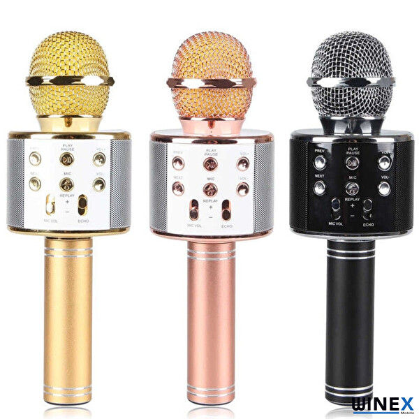 Winex USB-A+TF SD Kart+3.5 MM Aux Girişli Bluetooth Gold Karaoke Mikrofonu