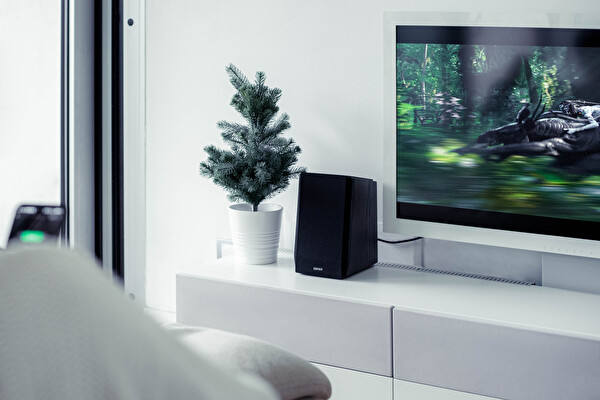 Edifier R1855DB 2.0 Multimedia Hoparlör