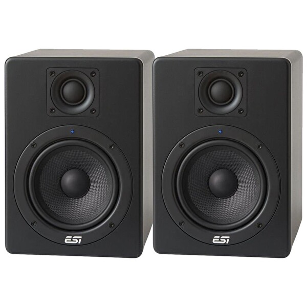 ESI Audio Aktiv 05 Referans Monitörü