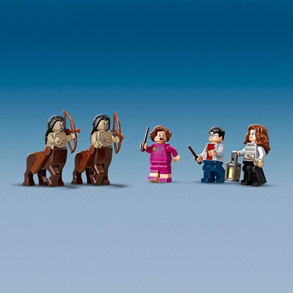 LEGO Harry Potter Yasak Orman: Grawp ve Umbridge'in Karşılaşması 75967