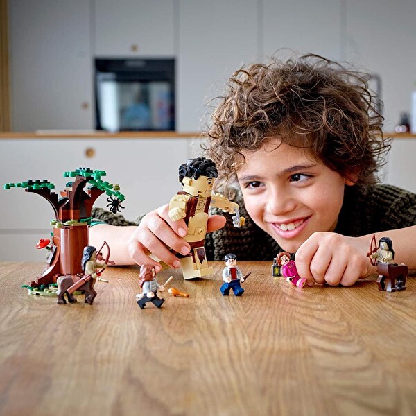 LEGO Harry Potter Yasak Orman: Grawp ve Umbridge'in Karşılaşması 75967