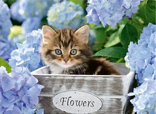 Çocuk 300 Parça Kedicik Puzzle 128945