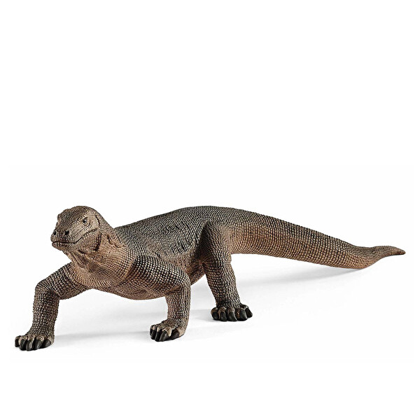 Komodo Ejderha 14826