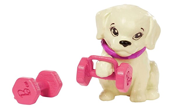 Barbie Wellness Barbie'nin Spa Günü Bebekleri GKH73-HKT91