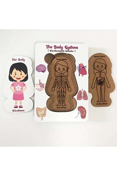 Moon Beavers Vücudumuzdaki Sistemler - Kız Ahşap Puzzle 83041