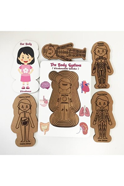 Moon Beavers Vücudumuzdaki Sistemler - Kız Ahşap Puzzle 83041