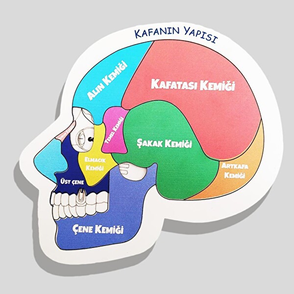 Moon Beavers Kafanın Yapısı Ahşap Puzzle 83003