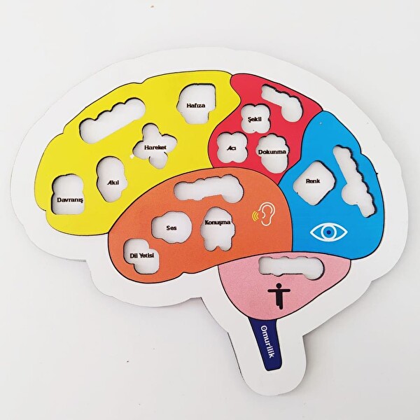Moon Beavers Beynimi Öğreniyorum Ahşap Oyuncak 83001