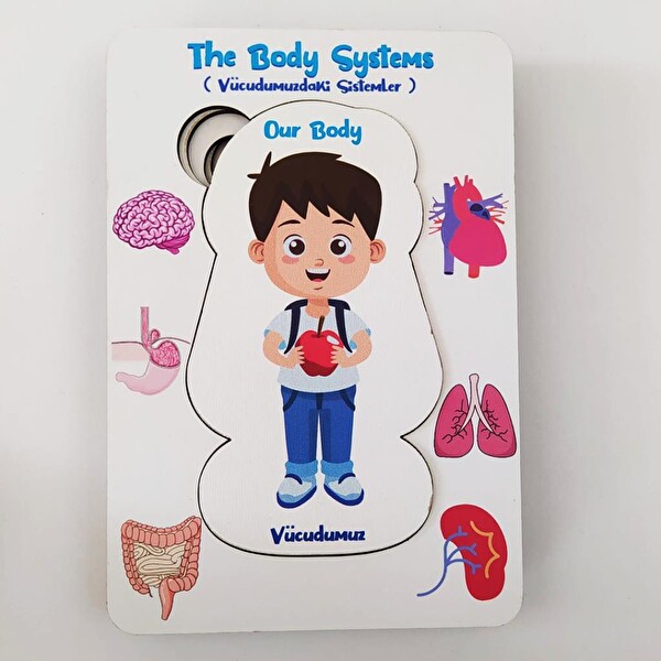Moon Beavers Vücudumuzdaki Sistemler Erkek Boyanabilir Ahşap Oyuncak 83040