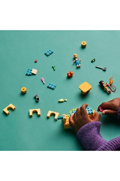 LEGO Friends Kedi Oyun Parkı Macerası 42612