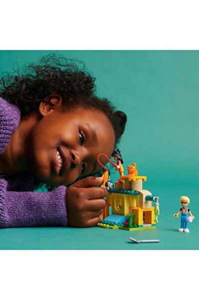 LEGO Friends Kedi Oyun Parkı Macerası 42612